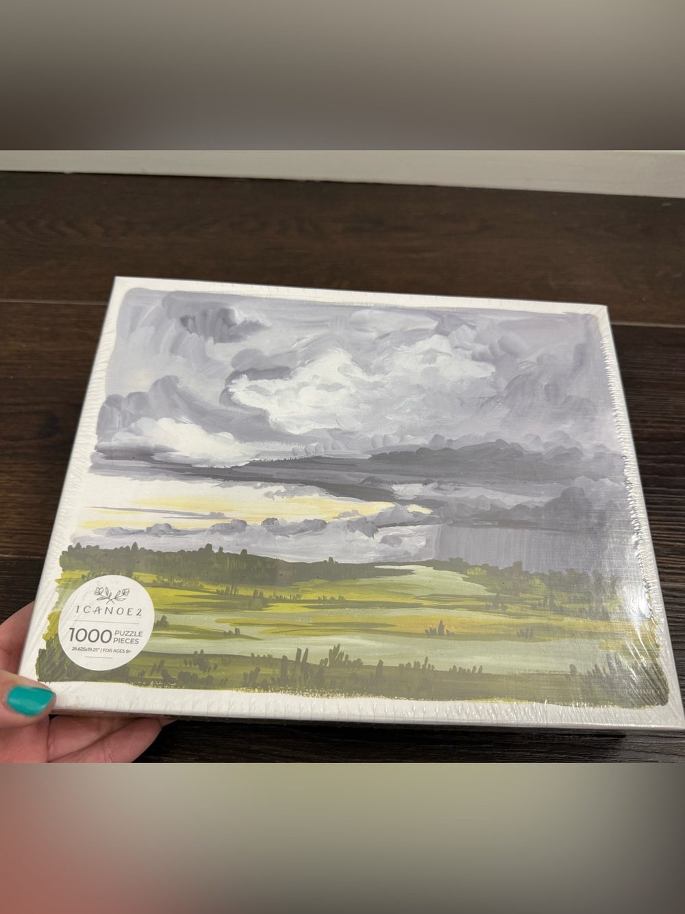 1Canoe2 Stormy Sky puzzle NEW